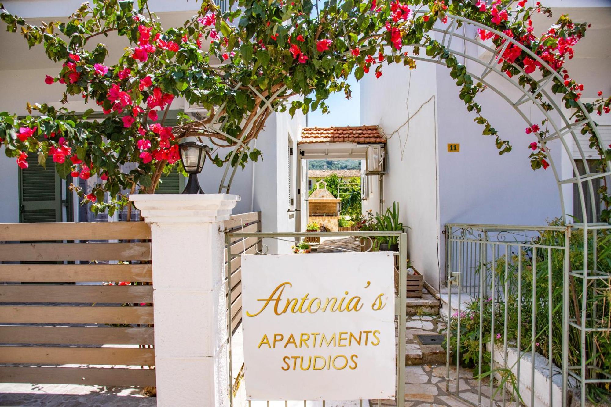 Antonia's Apartment *